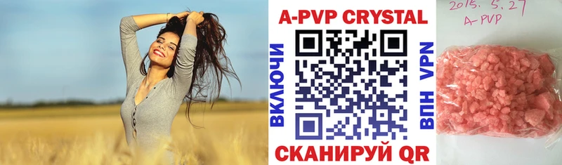 A PVP СК КРИС  Тырныауз 