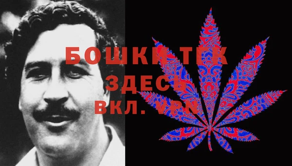 гидра Пролетарск