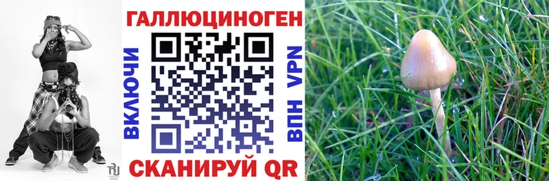 Псилоцибиновые грибы Magic Shrooms  Тырныауз 